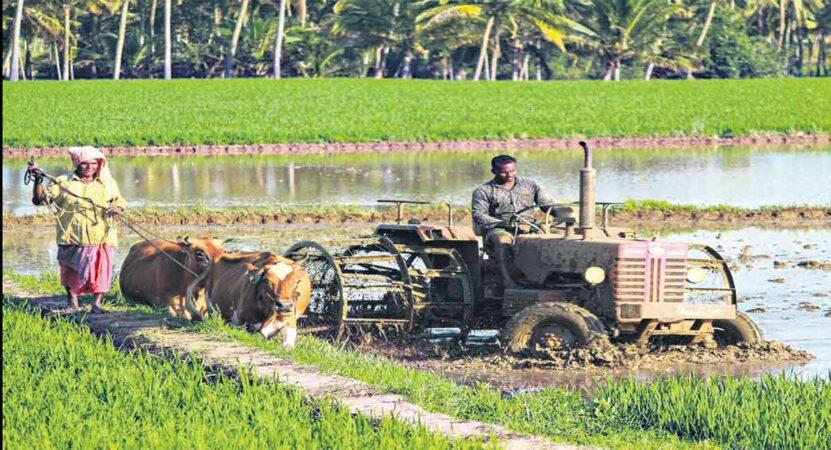 Farmers Begin Preparations for Kharif Cultivation image
